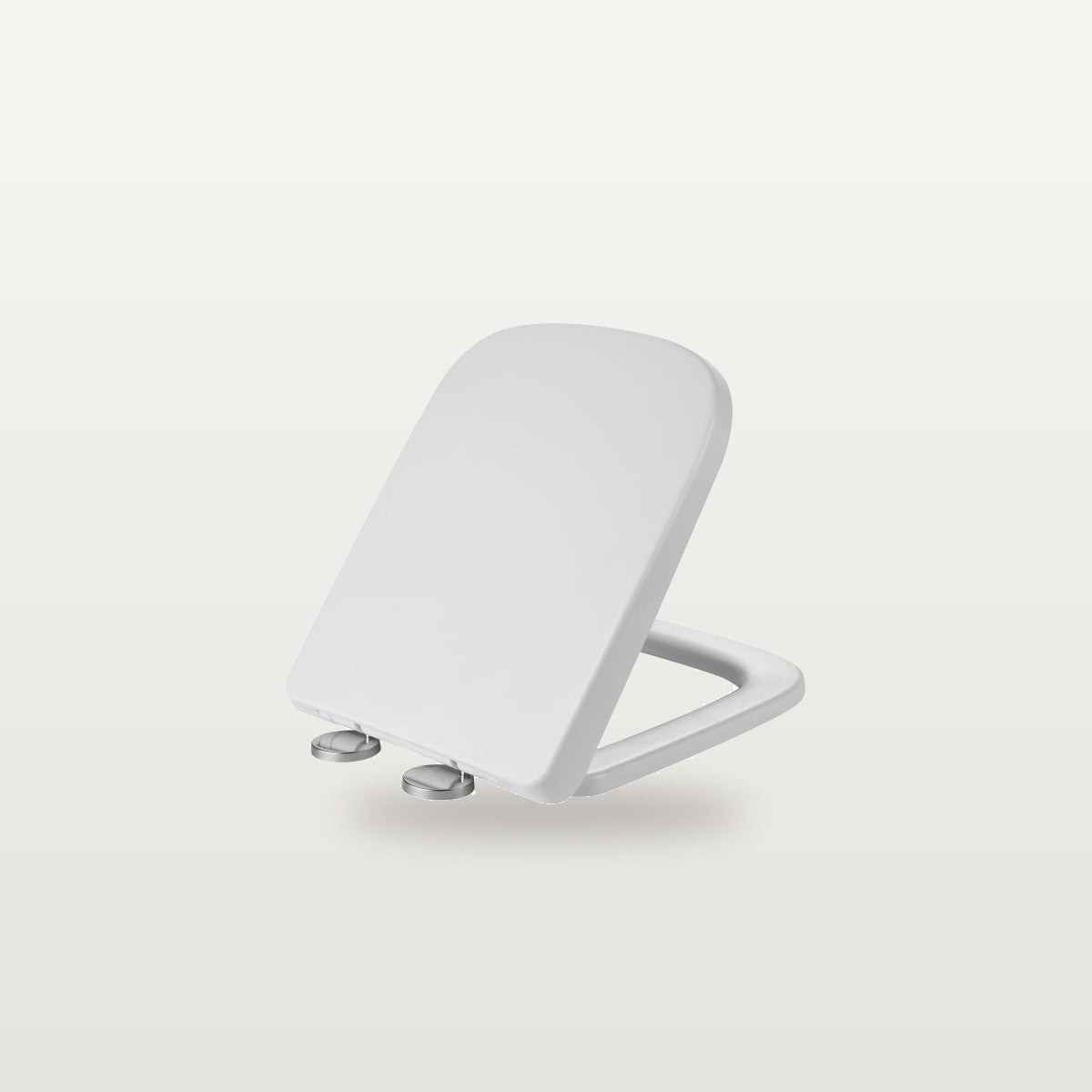 Toilet Seat Hinges