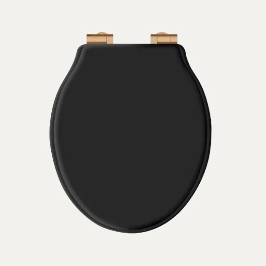Victrion Black Matt Toilet Seat S/Close