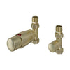 Eastbrook 15mm Straight TRV and Lockshield Valve Brushed Brass