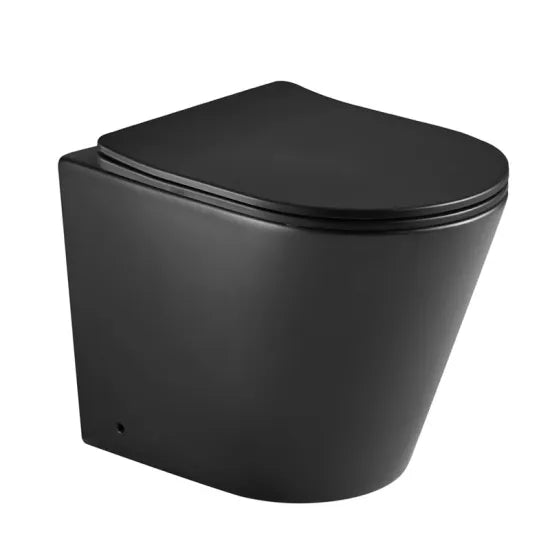 Arley Angel Black Rimless Back To Wall Pan