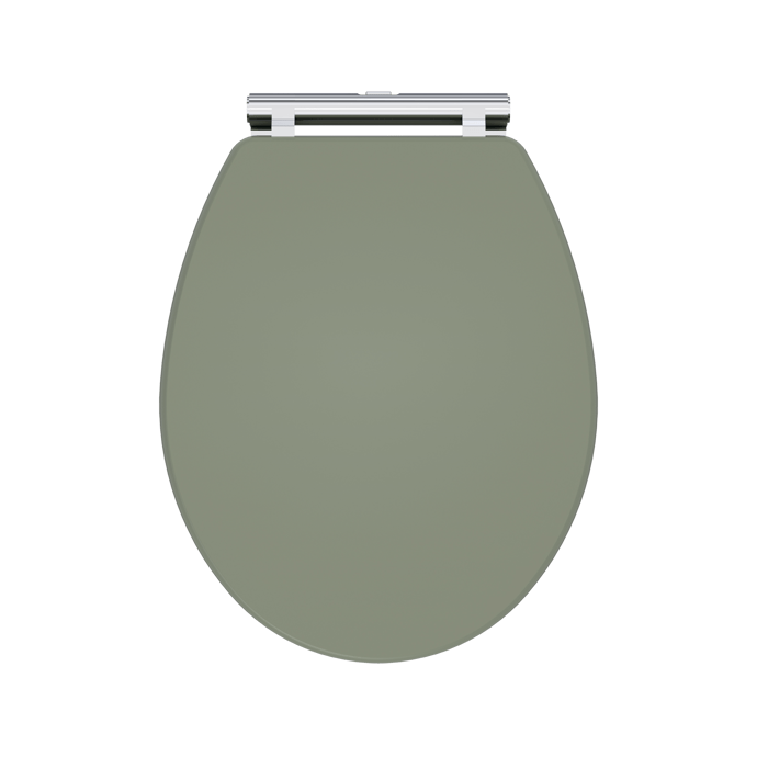 Classique / Soft Close Wooden Toilet Seat Satin green