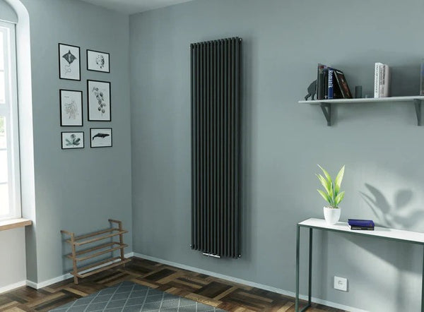 Eucotherm Gaja Double Anthracite Tube Vertical Designer Radiator