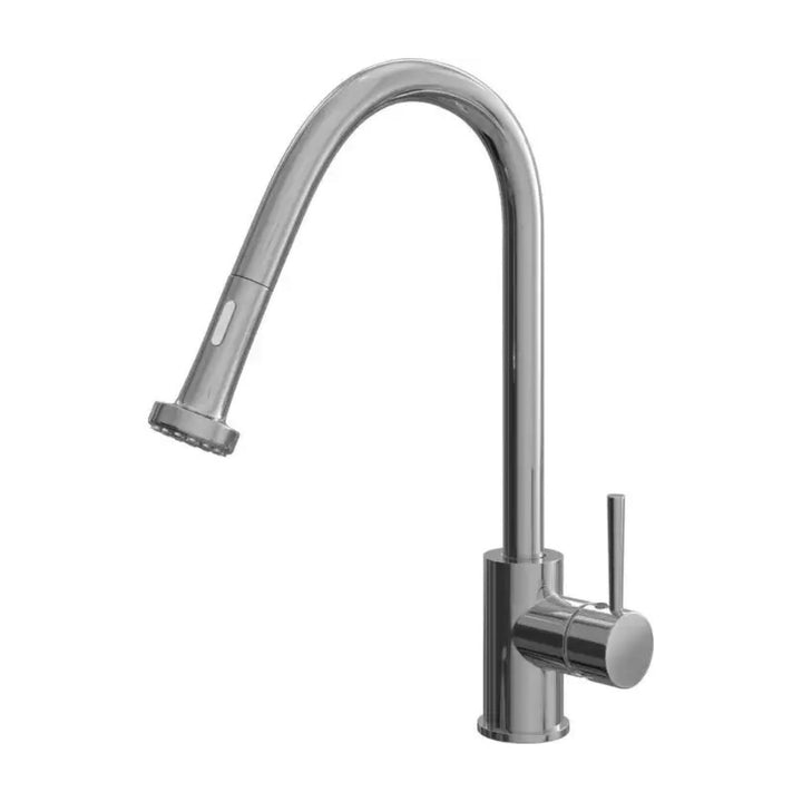 Ellsi Marino Kitchen Mixer Tap with Pull Out Spray & Swivel Spout