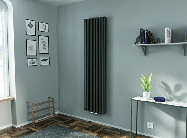 Eucotherm Gaja Double Anthracite Tube Vertical Designer Radiator