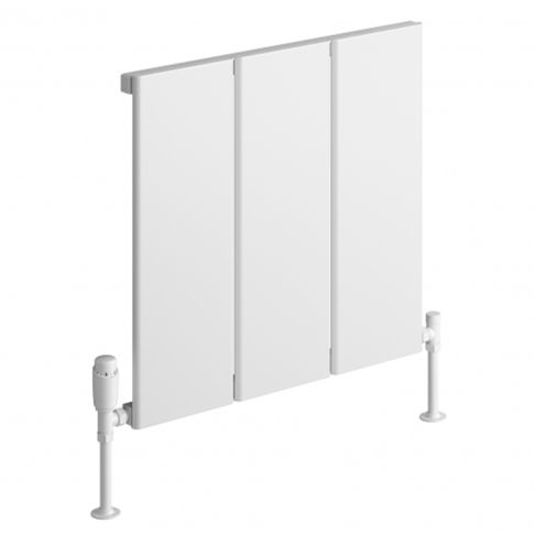 Alt Tag Template: Buy Reina Larga Aluminium Horizontal Radiator by Reina for only £244.39 in Shop By Brand, Radiators, Aluminium Radiators, Reina at Main Website Store, Main Website. Shop Now