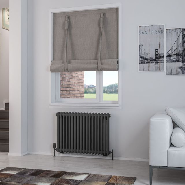Alt Tag Template: Buy Eastbrook Rivassa Steel Matt Anthracite 2 Column Horizontal Radiator 600mm H x 833mm W Central Heating by Eastbrook for only £410.94 in Radiators, Eastbrook Co., Column Radiators, Horizontal Column Radiators, 3000 to 3500 BTUs Radiators, Anthracite Horizontal Column Radiators at Main Website Store, Main Website. Shop Now