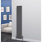 Alt Tag Template: Buy Eastgate Eben Steel Anthracite Vertical Designer Radiator 1600mm H x 272mm W Double Panel - Central Heating by Eastgate for only £203.98 in 3000 to 3500 BTUs Radiators, Anthracite Vertical Designer Radiators at Main Website Store, Main Website. Shop Now