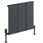 Alt Tag Template: Buy Reina LARGA Aluminium Anthracite Horizontal Radiator 600mm H x 608mm W, Electric Only - Thermostatic by Reina for only £348.50 in Shop By Brand, Radiators, Electric Radiators, Reina, Electric Thermostatic Radiators, Electric Thermostatic Horizontal Radiators at Main Website Store, Main Website. Shop Now