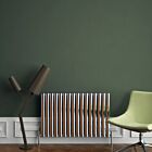 Alt Tag Template: Buy Carisa Tallis Aluminium Horizontal Designer Radiator 600mm H x 950mm W Single Panel - Polished Anodized by Carisa for only £364.89 in Aluminium Radiators, Carisa Designer Radiators, 5000 to 5500 BTUs Radiators at Main Website Store, Main Website. Shop Now