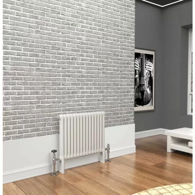 Alt Tag Template: Buy TradeRad Premium White 2 Column Horizontal Radiator 600mm H x 654mm W by TradeRad for only £215.68 in Radiators, TradeRad, View All Radiators, Column Radiators, TradeRad Radiators, Horizontal Column Radiators, TradeRad Premium Horizontal Radiators, White Horizontal Column Radiators, TradeRad Premium White 2 Column Horizontal Radiators at Main Website Store, Main Website. Shop Now