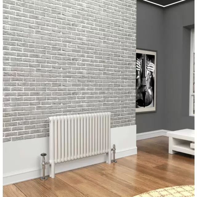 Alt Tag Template: Buy TradeRad Premium White 2 Column Horizontal Radiator 600mm x 879mm by TradeRad for only £292.71 in Radiators, TradeRad, View All Radiators, Column Radiators, TradeRad Radiators, Horizontal Column Radiators, TradeRad Premium Horizontal Radiators, White Horizontal Column Radiators, TradeRad Premium White 2 Column Horizontal Radiators at Main Website Store, Main Website. Shop Now