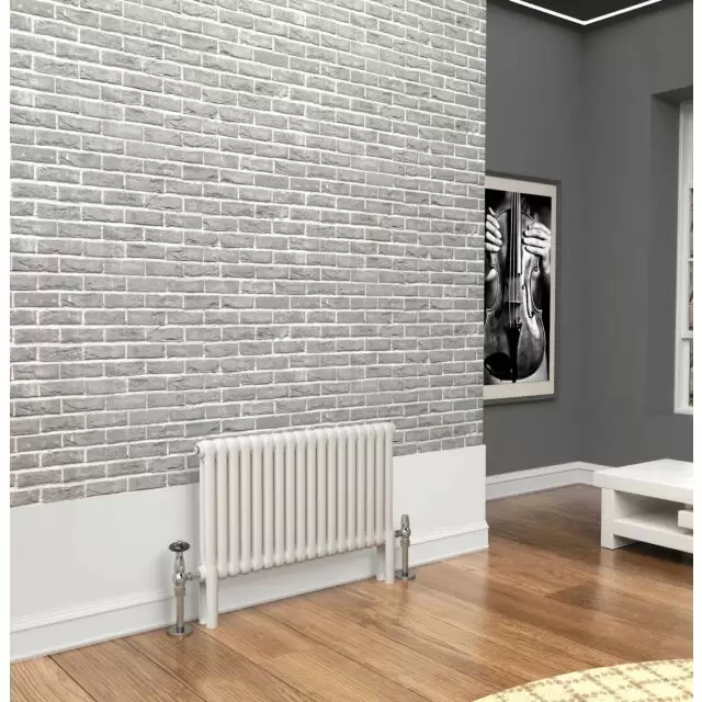 Alt Tag Template: Buy TradeRad Premium White 2 Column Horizontal Radiator 500mm H x 609mm W by TradeRad for only £191.54 in Radiators, TradeRad, Shop by Range, Column Radiators, TradeRad Radiators, 1500 to 2000 BTUs Radiators, TradeRad Premium White 2 Column Horizontal Radiators at Main Website Store, Main Website. Shop Now