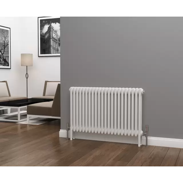 Alt Tag Template: Buy Eastgate Lazarus White 2 Column Horizontal Radiator 500mm H x 1014mm W by Eastgate for only £330.75 in Radiators, Column Radiators, Horizontal Column Radiators, 2500 to 3000 BTUs Radiators, Eastgate Lazarus Designer Column Radiator, White Horizontal Column Radiators at Main Website Store, Main Website. Shop Now