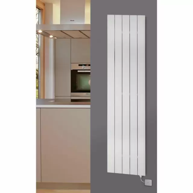 Alt Tag Template: Buy MaxtherM Newport Steel Silver Vertical Designer Radiator 600mm H x 445mm W Single Panel Central Heating by MaxtherM for only £251.38 in MaxtherM, Maxtherm Designer Radiators, 0 to 1500 BTUs Radiators at Main Website Store, Main Website. Shop Now