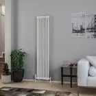 Alt Tag Template: Buy Eastbrook Rivassa Steel White 2 Column Vertical Radiator 1800mm H x 383mm W Central Heating by Eastbrook for only £382.02 in Radiators, Eastbrook Co., Column Radiators, Vertical Column Radiators, 3000 to 3500 BTUs Radiators, White Vertical Column Radiators at Main Website Store, Main Website. Shop Now